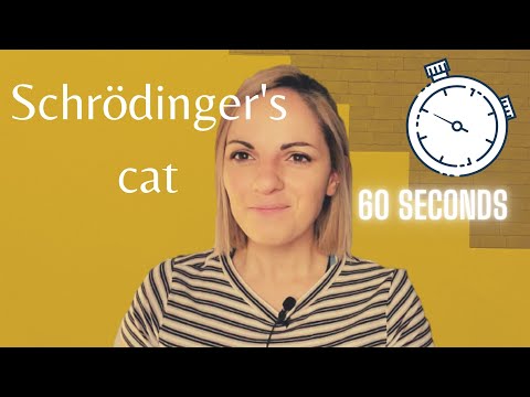 #shorts - Schrodinger's cat explained - Parallel universes
