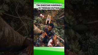 Download lagu TNI CHASED BY TIGER IN THE FOREST #trending #tni #viral #shorts #tniad #army #bravo #fyp mp3