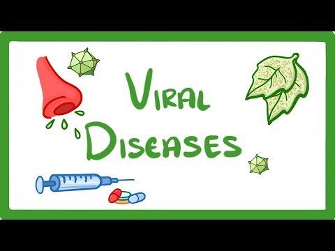 GCSE Biology What Is a Virus Examples of Viral Disease HIV Measles TMV 36