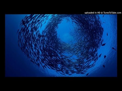 Oldtruko x Stgomalaria - Como la vez