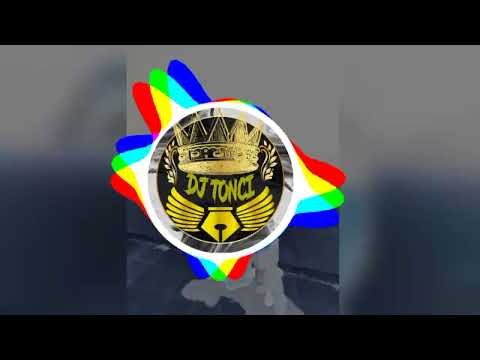 vreau să beau cu frații mei (DJ TONCI 🇲🇩)