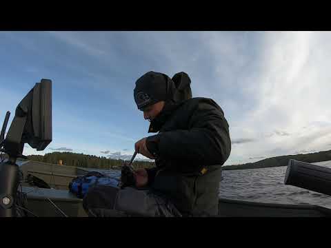 jonboatilla kuha jahdissa kärkistensalmessa