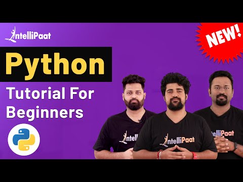 Python Tutorial | Python for Beginners | Python Full Course | Python Crash Course | Intellipaat