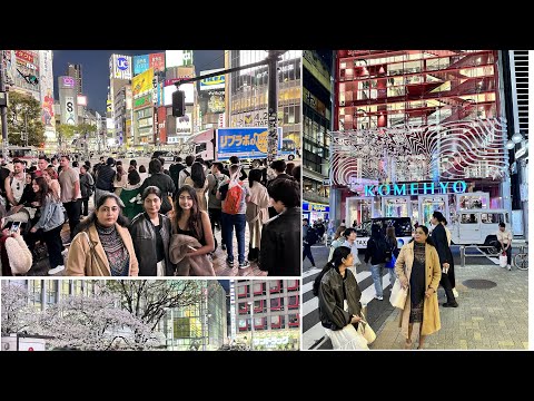 සඳු පායා ආකාසේ ..රහසේ  Sandu paya akase Shibuya Street Walk, Japan 2024