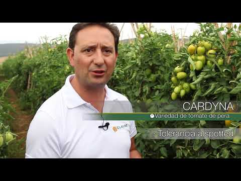 Video: CARDYNA F1