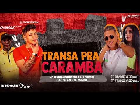 PEDRINHO DO CHARME, ALÊ OLIVEIRA, MC MORENA E MC GW - TRANSA PRA CARAMBA - MÚSICA NOVA