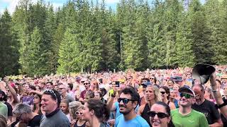 Il costume da torero - Dario Brunori al No Borders Music festival 2024