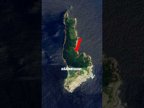 ooks sä KUULLU käärmesaaresta? 🐍