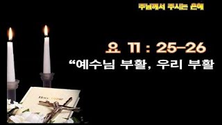 예수님 부활, 우리 부활 / 요 11:25-26