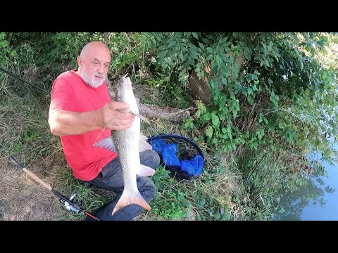 DVA LICA JEDNE RIJEKE - u razmaku od tjedan dana dva ribolova na Kupi u sasvim drugačijim uvjetima