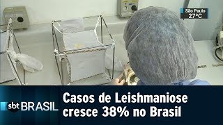 Miniatura do vídeo