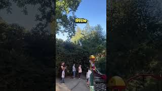 Crazy 1 Cent Ride In Germany (@bracenet_savetheseas/@in.my.tower)