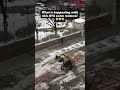 Free Kitten - Feelin' (nyc snowplough)