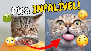 Seu Gato RECUSA o sachê? Esse estratégia FÁCIL vai ENSINÁ-LO a PROVAR Diferentes Texturas e Sabores!