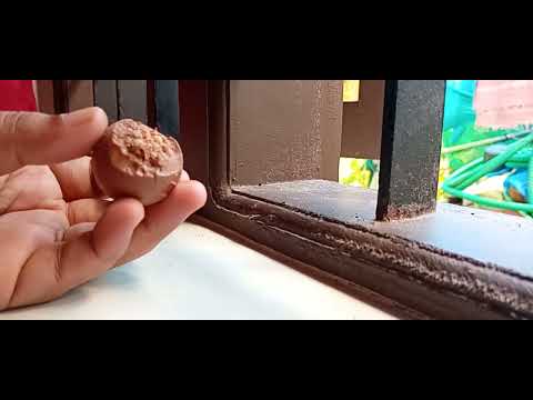 sorini chococolate Asmr #bigboss #chocolate #kerala #saudiarabia #chocolateasmr
