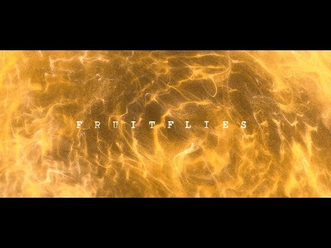 Gabriel Garzón-Montano - Fruitflies (Official Video) // Jardín