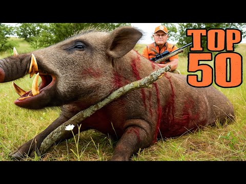Incredible precision! Top 50 hits from American hunters 🐗🔥