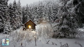 3 HOURS of Relaxing Snowfall: Beautiful Falling Heavy Snow - The Best Relax Music 1080p HD #2