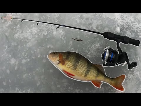 OPENING OF THE ICE SEASON!