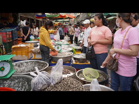 Cambodia Evening Street Market - Many Fresh Seafood, Rural Chicken & Vegetable @Orussey Market