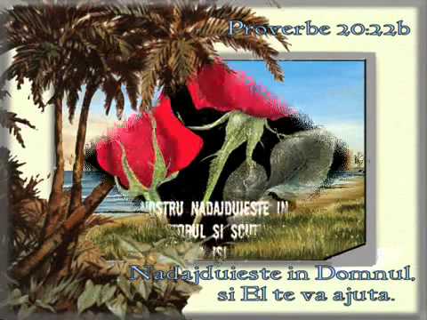 Microcipul 666 - Viorel Candreanu