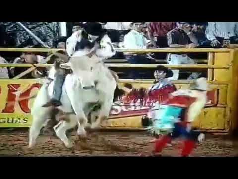 Rogério Ferreira campeão Expo Fernandópolis SP 2001