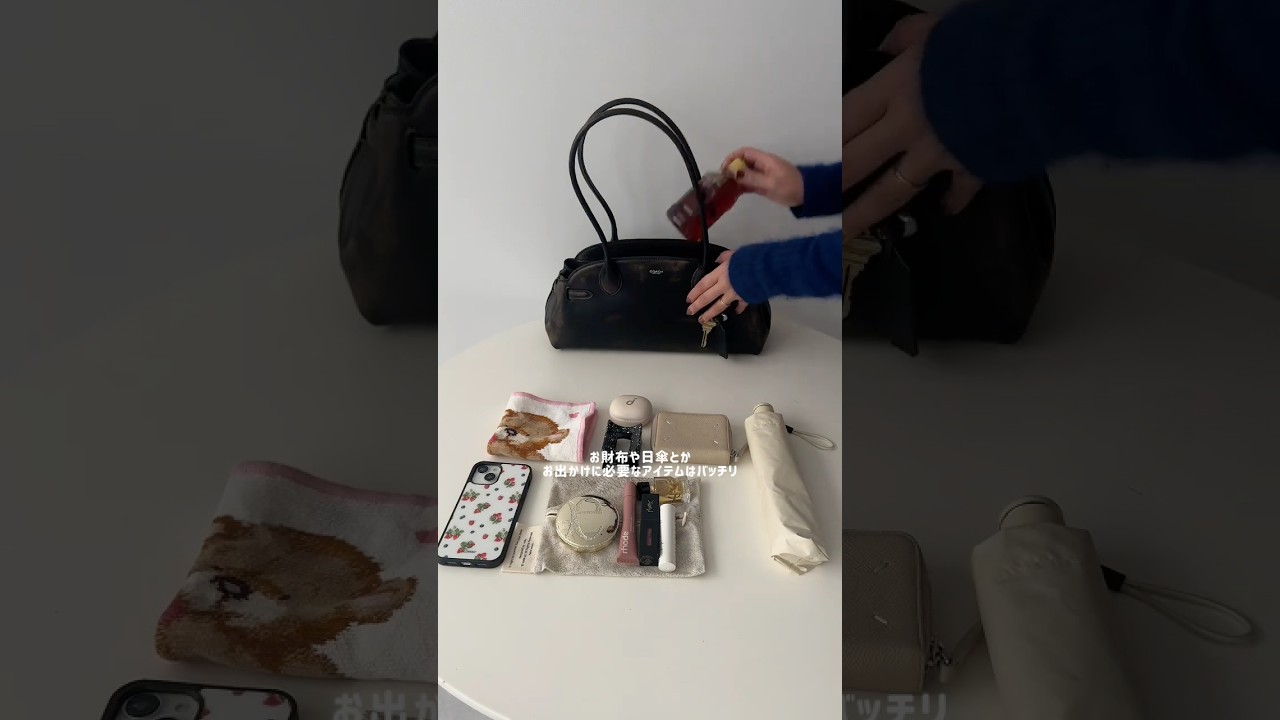 週7使えるご褒美バッグはコレに決まり👜 #shorts #bag #バッグ