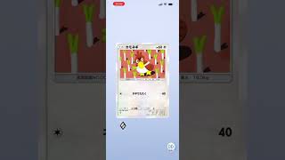 ポケカ！10連！　#ポケカ　#ポケカ  #ポケモンカード　#10連