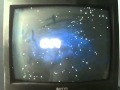 Several Feature Vhs Opening 11 24 13