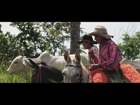A Comitiva, do Pantanal a Camapuã