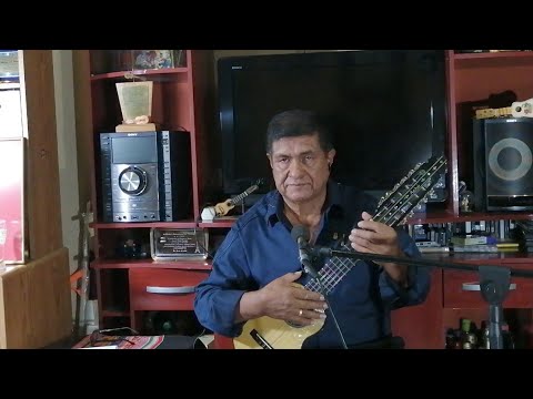 Homenaje Al Día Internacional Del Charango Concierto En Vivo