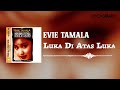 Evie Tamala Luka Diatas Luka