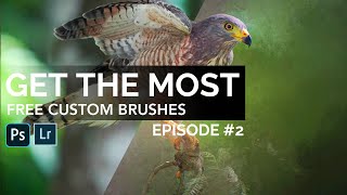Free HIGH QUALITY Custom Brushes in Photoshop