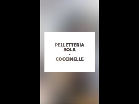 COLLEZIONE AI20 COCCINELLE - PELLETTERIA SOLA