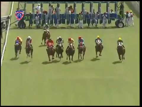 100eme victoire de bardotier