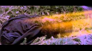 Ladyhawke - parte "o feitiço"