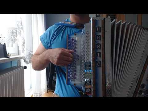 Ansambel Lojzeta Slaka- To smo mi prijatelji (harmonika)