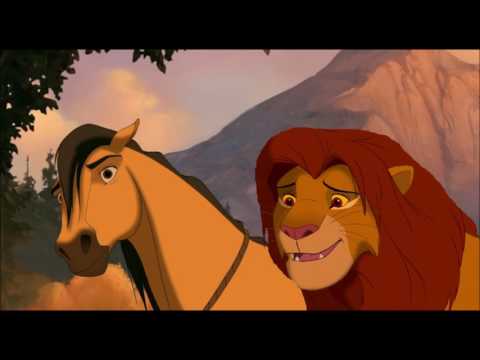 simba meets spirit video