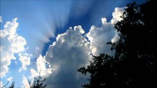 Snowmine -  Beast in Air, Beast in Water