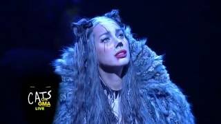 Cats Broadway Cast Performs LIVE Medley on &#39;GMA&#39; - Leona Lewis as Grizabella