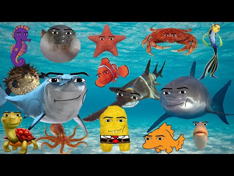 All Oceanic Gegagedigedagedago Compilation