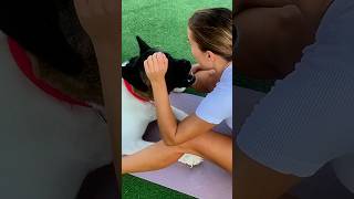 My Dog Thinks My Workout Is Playtime 😂 #funnydog #doglover #workoutfail #fitnessfun #shorts