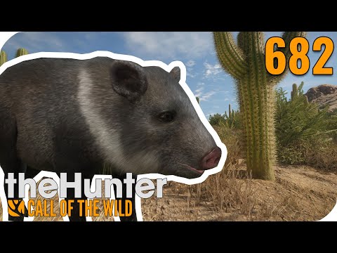 Trostlose Steppe! || theHunter Call of the Wild || PantoffelPlays