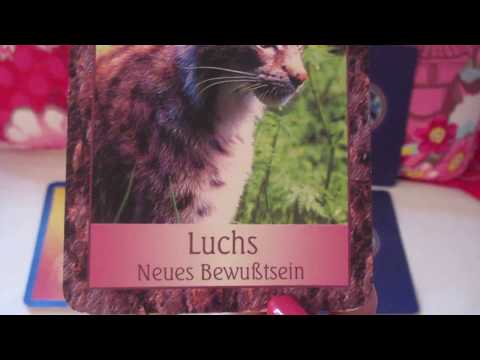 Engel Orakel der Woche vom 17. bis 23. Juli 2017