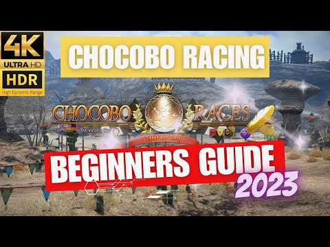FFXIV Chocobo Racing Guide