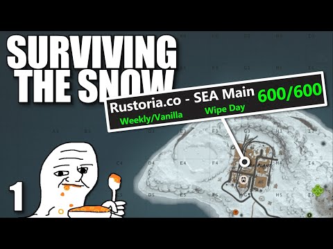 SURVIVING a 600+ POP SERVER IN THE SNOW ON WIPE DAY | Solo Rust