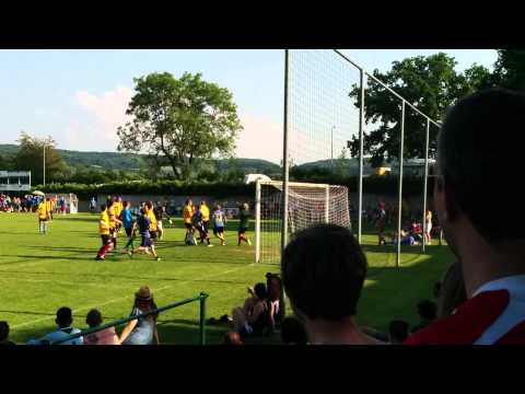 DAM 2014 Ausgleich Vibrator Moskovskaya