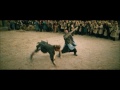 Chinese Warrior VS Roman Legionary