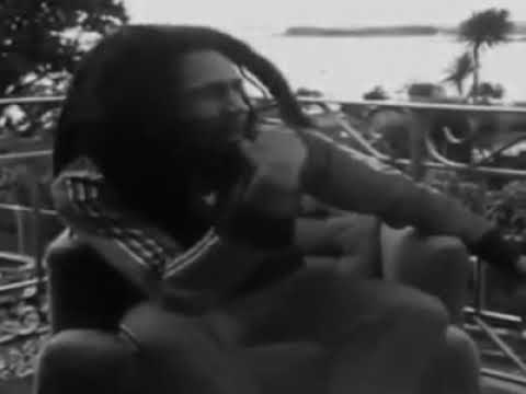 Daju Lion - santa planta