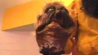 Buckethead Guitar Lesson (With Herbie):)